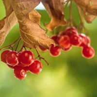 3960 :: Alex . 3960 :: Alex .