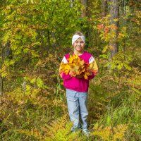 Алиса на фоне осени :: Сергей Цветков Алиса на фоне осени :: Сергей Цветков