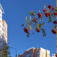 Привет от осени :: Валерий Иванович