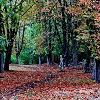 Осень в городе... :: Николай Саржанов
