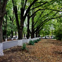 Осень в городе... :: Николай Саржанов