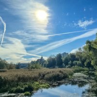 Осеннее утро :: Oleg S 