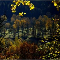 Осенний :: Aleksandr Gal