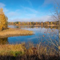 **** :: Елизавета .