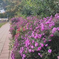 ,,, :: Сергей Тимоновский ,,, :: Сергей Тимоновский