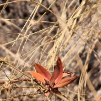 *** :: Павленко Михаил 