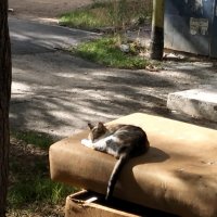 Отдых в последних солнечных днях :: Giant Tao /