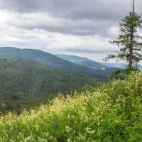 На горе Лысая. Ильменский хребет. (панорама) :: Алексей Трухин