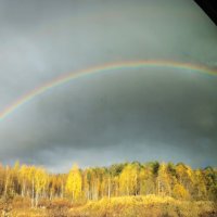 Радужная осень из окна поезда :: Галина Ильясова Радужная осень из окна поезда :: Галина Ильясова