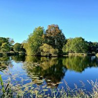 Петергофские пруды. :: Лия ☼