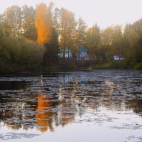 Осень на пруду :: Сергей Кочнев