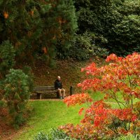 Одиночество :: Юрий. Шмаков