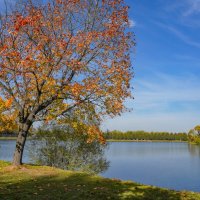 Октябрь в Царицыно... :: Владимир Жданов