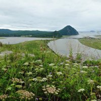 Сопка Сестра в Приморском крае :: Лидия Бусурина Сопка Сестра в Приморском крае :: Лидия Бусурина