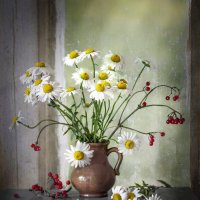 Осенние ромашки. :: Bosanat 