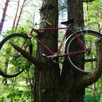 спрятал сходил    вернулся на место   велик на месте :: Владимир 