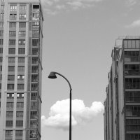 *** :: Любимова Ольга 