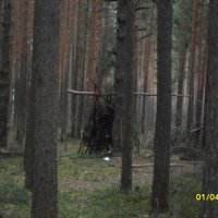 Шалаш :: fogmeadowww m