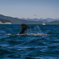 ... :: Жора Житников