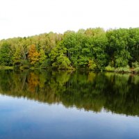 Осень в октябре (репортаж из поездок по области) :: Милешкин Владимир Алексеевич 