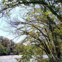 Министерские озёра :: Tata Wolf