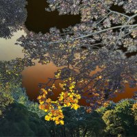 На тему Иннокентия Анненского :: Victor Vinocurov На тему Иннокентия Анненского :: Victor Vinocurov