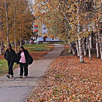 Октябрь....Подруги в березовом сквере! :: Владимир 