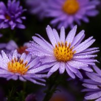 Октябрины :: Юрий. Шмаков