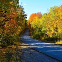 Чебоксары. Ягударский лес осенью. :: Пётр Чернега Чебоксары. Ягударский лес осенью. :: Пётр Чернега