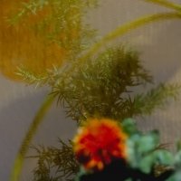 Икэбана :: Тамара Вебер