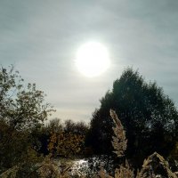 ... :: Татьяна [Sumtime]