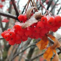 Сегодня не погода :: Валентина Богатко 