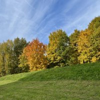 Осенние краски :: Александр Конов