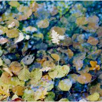 ОСЕНЬ... :: Elvira E. 