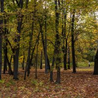 Прогулка в парке :: Александр Синдерёв