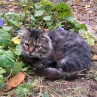 Старое фото... :: Наталья 