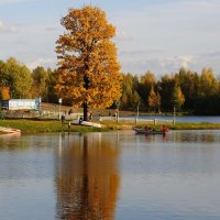 Осенний дуб :: Иван Генералов