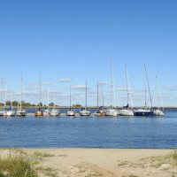 ******** :: ИННА ПОРОХОВА