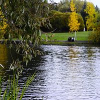 Рябь на воде. :: Василий Палий