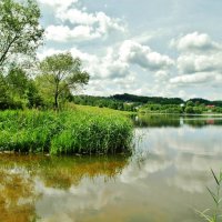 озеро :: Владимир 