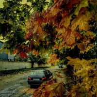 ....осень... :: Георгий Никонов