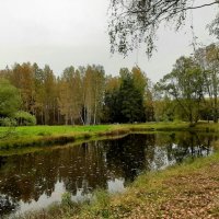 Осенний Павловск :: Наталья Герасимова