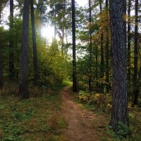 Зрелая осень :: Андрей Лукьянов