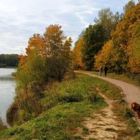 С Днем защиты животных: я оглянулся посмотреть, не оглянулась ли она... :: Андрей Лукьянов