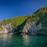 ... :: Жора Житников