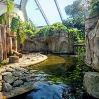 В павильоне Тропического леса :: Veera V