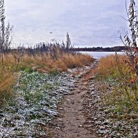 Октябрь...Рыбацкая тропа к реке! :: Владимир 