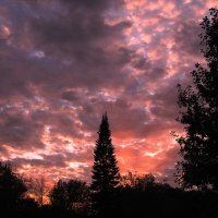 Октябрьский вечер :: Людмила Смородинская Октябрьский вечер :: Людмила Смородинская