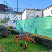 Комарик у автовокзала. :: Ольга 