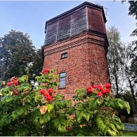 Водонапорная башня. (1889г.) :: Валерия Комова